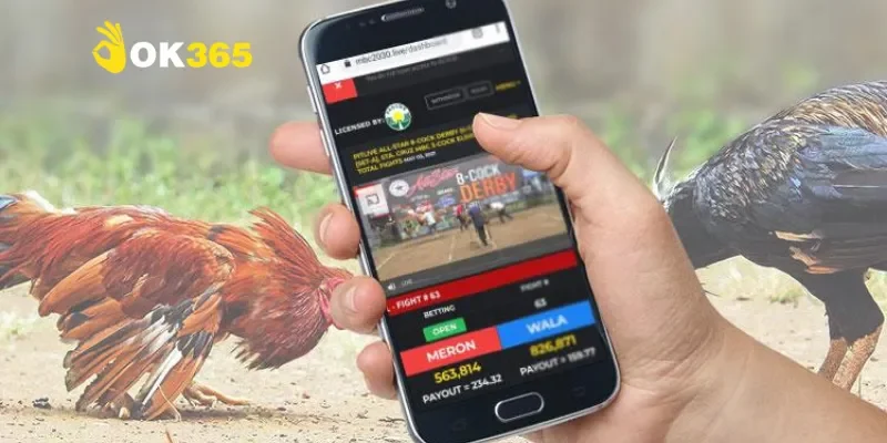 Cách tham gia đá gà mạng cực kỳ hiệu quả