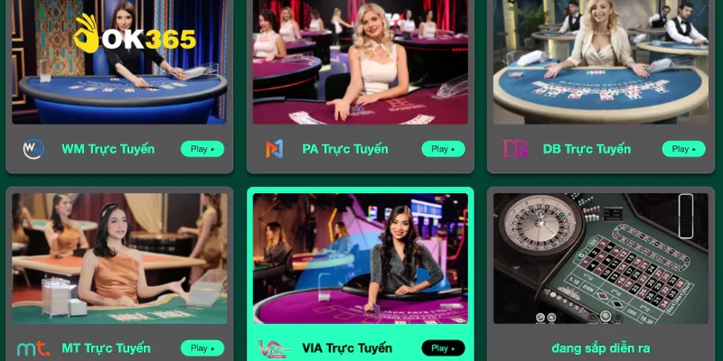 Cốt lõi thương hiệu được thể hiện qua nội dung về chúng tôi