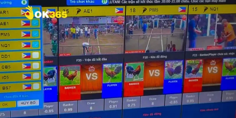 Đá gà mạng - Khám phá sân chơi trực tuyến đầy kịch tính