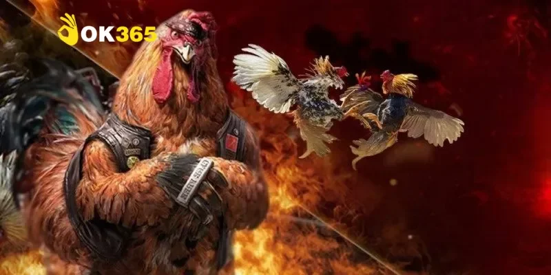 Đá gà mạng là gì?