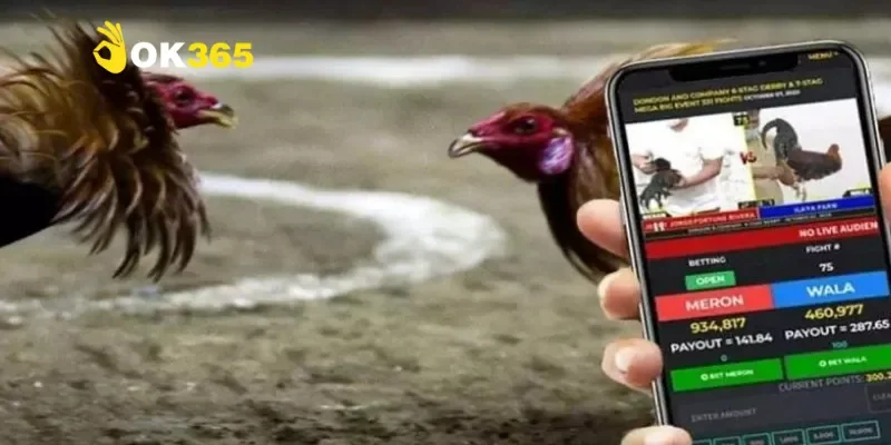 Đá gà trực tuyến: Lựa chọn thay thế của cược thủ