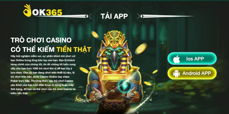 Hướng dẫn tải app Ok365 cho từng hệ điều hành