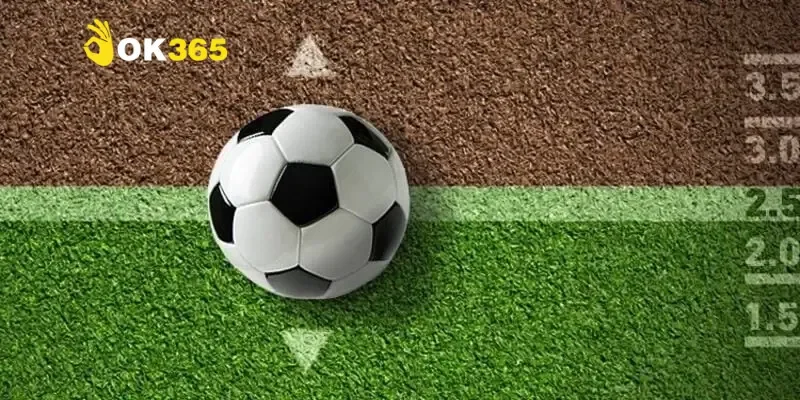 Mẹo chơi tài xỉu cả trận hiệu quả