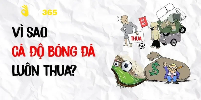 Nguyên nhân chính cho việc tại sao cá độ bóng đá luôn thua