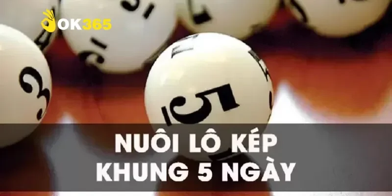 Nuôi lô kép 5 ngày – Bí quyết chinh phục chiến thắng